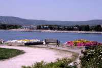Collingwood, Georgian Bay, Ontario, Canada CM-1206