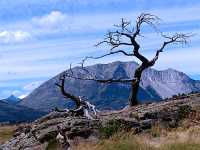 Crowsnest Pass, and Frank Slide, Crowsnest Highway, British Columbia, Canada 18 
