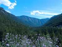 The Kootenays,  Crowsnest Highway, British Columbia, Canada 07
