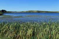 Highlight for Album: Cypress Hills Park, Alberta, Canada - Alberta Stock Photos