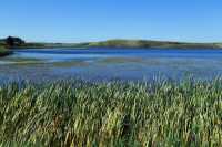 Cypress Hills Provincial Park, Alberta, Canada CMX-001