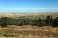 Cypress Hills Provincial Park, Alberta, Canada CMX-006