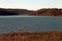 Cypress Hills Provincial Park, Alberta, Canada CMX-007