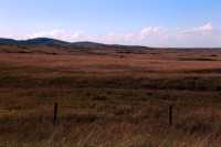 Cypress Hills Provincial Park, Alberta, Canada CMX-008