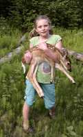 Deer Fawn held by child CM11-025