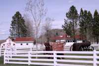 Douglas Lake Ranch, British Columbia, Canada CM11-006