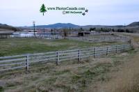Highlight for Album: Douglas lake Ranch, British Columbia, Canada