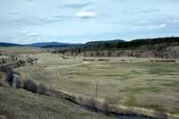 Douglas Lake Ranch, British Columbia, Canada CM11-011
