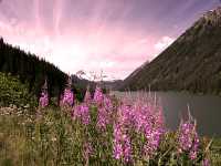 Duffey Lake, Duffey Lake Road, Lillooet To Pemberton, British Columbia, Canada CM11-12