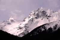 Joffre Park, Duffey Lake, Lillooet To Pemberton, British Columbia, Canada CM11-38 