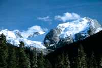 Duffey Lake Road, Lillooet To Pemberton, British Columbia, Canada CM11-31