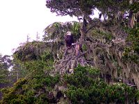 Bald Eagle, Squamish, British Columbia, Canada 05