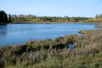 Elk Island National Park, Alberta, Canada CM-01