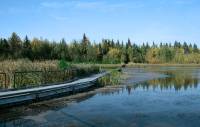 Highlight for Album: Elk Island National Park of Canada Photos, Alberta, Canada, Canadian National Parks Stock Photos