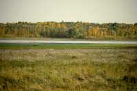 Elk Island National Park, Alberta, Canada CM-07