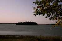 Elk Island National Park, Alberta, Canada CM-08