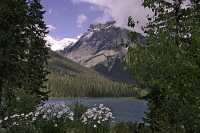 Emerald Lake, Yoho National Park, 2011,  British Columbia, Canada CM11-003