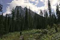 Emerald Lake, Yoho National Park, 2011,  British Columbia, Canada CM11-005