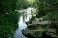 Englishman Falls Park, Parksville, Vancouver Island CM11-007