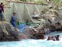 Farwell Canyon, Salmon Fishing, Chilcotin, British Columbia, Canada  07