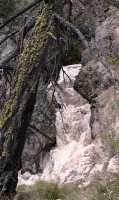 Fintry Falls, Okanagan Lake, British Columbia, Canada CM11-007