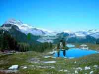 Highlight for Album: Garibaldi Park Photos, Squamish, British Columbia Stock Photos
