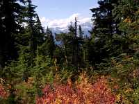 Mt Garibaldi Provincial Park, British Columbia, Canada  16