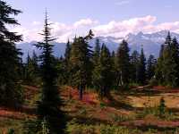 Mt Garibaldi Provincial Park, British Columbia, Canada  15 