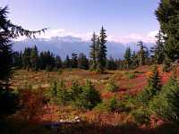 Mt Garibaldi Provincial Park, British Columbia, Canada  13 