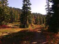 Mt Garibaldi Provincial Park, British Columbia, Canada  04 
