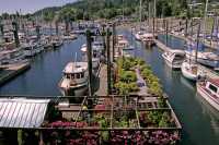 Gibsons, Sunshine Coast, British Columbia, Canada CM11-006