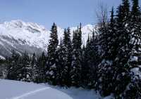 Glacier National Park, British Columbia, Canada CM11-20