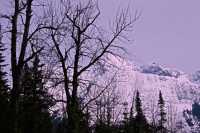 Glacier National Park, British Columbia, Canada CM11-33 