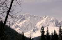 Glacier National Park, British Columbia, Canada CM11-34