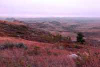 Grasslands National Park - East Block, Saskatchewan, Canada CMX-010