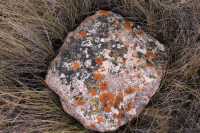 Grasslands National Park - East Block, Saskatchewan, Canada CMX-013