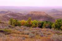 Grasslands National Park - East Block, Saskatchewan, Canada CMX-018