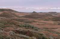 Grasslands National Park - East Block, Saskatchewan, Canada CMX-023