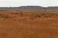 Grasslands National Park - West Block, Saskatchewan, Canada CMX-027