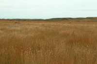 Grasslands National Park - West Block, Saskatchewan, Canada CMX-028
