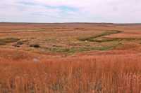 Grasslands National Park - West Block, Saskatchewan, Canada CMX-031