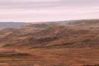 Grasslands National Park - West Block, Saskatchewan, Canada CMX-044