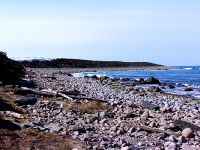 Gulf of St. Lawrence, Gros Morne National Park, Newfoundland, Canada 17