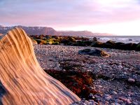 Gulf of St. Lawrence, Shoreline, Gros Morne National Park, Newfoundland, Canada 15