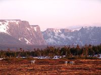 Gros Morne National Park, Newfoundland, Canada 21