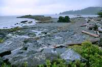 Hotspring Island, Gandll K'in Gwaay Yaay, Watchmen House, Haida Heritage Site, Gwaii Haanas National Park Reserve, British Columbia, Canada CM11-003
