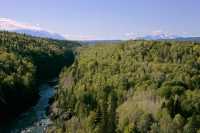 The Hazeltons, Northern British Columbia, Canada CM11-006
