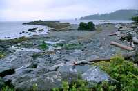 Hotspring Island, Gwaii Haanas National Park, British Columbia, Canada CM11-010 
