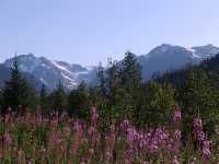 Hurley Pass, Pemberton Valley, Gold Bridge, British Columbia, Canada  08