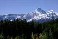 Icefields Parkway, 2011, Banff & Jasper National Parks, Alberta, Canada CM11-002